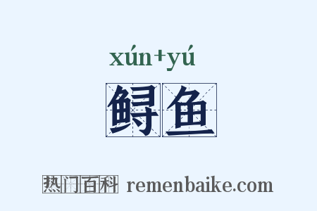 鲟鱼是什么意思的图片